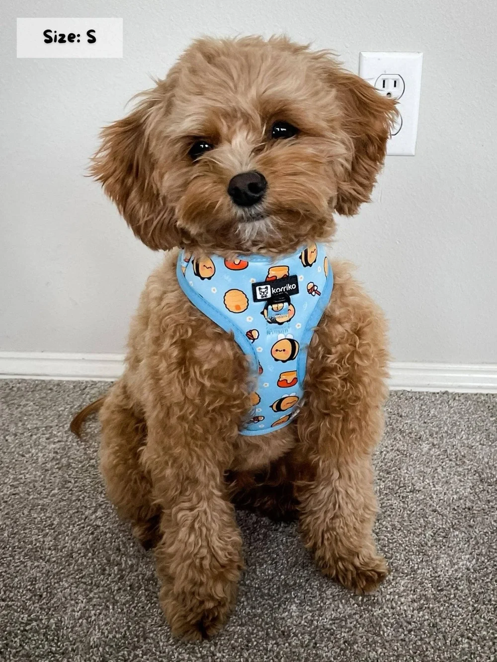 Korriko Pet Supply - Adjustable Dog Harness - HoneyBee
